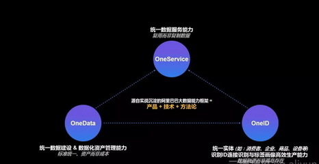 阿里數(shù)據(jù)科學家一次講透數(shù)據(jù)中臺與大數(shù)據(jù)服務
